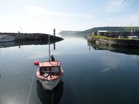 Causeway Coastal Route Ballylough