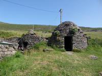 Dingle Beehives