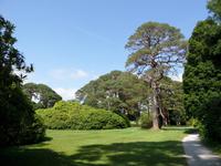 Muckross House and Garden