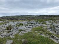 Aran Islands - Inishmore