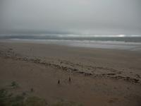 der weite Strand bei Inch auf der Halbinsel Dingle