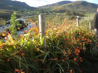 Urprünglichkeit der Landschaft