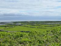 Arran IIslands - Inishmore
