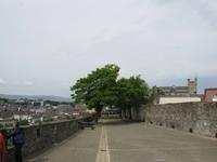 ... auf der Stadtmauer