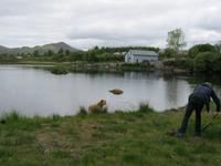 ... hol' das Stöckchen