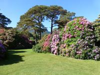 Muckross Park