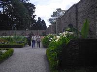 Viktorianischer Küchengarten im Phönixpark - Dublin