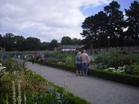 Viktorianischer Küchengarten im Phönixpark - Dublin