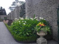 Viktorianischer Küchengarten im Phönixpark - Dublin