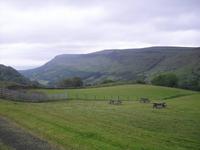 Glenariff Forest Park in Nordirland