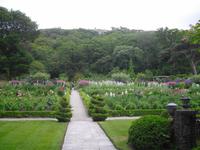 Schloßgarten in Glenveagh - Irland