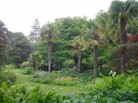 Schloßpark in Glenveagh - Irland
