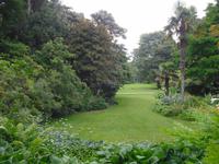 Schloßpark in Glenveagh - Irland