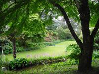 Schloßpark in Glenveagh - Irland