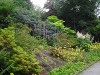 Schloßpark in Glenveagh - Irland