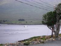 Killary Harbour, Ireland