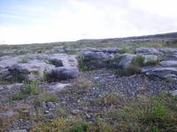 The Burren, Ireland