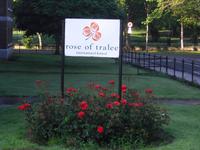 Tralee, Co. Kerry, Ireland