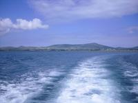 Auf der Suche nach Funghie, einem Delfin, in Dingle