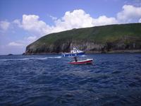 Auf der Suche nach Funghie, einem Delfin, in Dingle