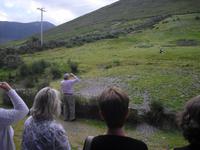 Beim Schäfer Brendan Ferries im Co.Kerry, Irland