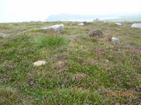 Cloughter Head auf Dingle