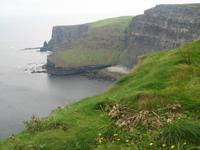Moher