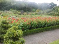 Gärten von Glenveagh Castle