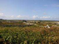 Connemara-Landschaft