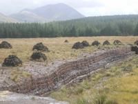 Torfabstich in Connemara