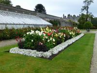 Powerscourt Garden