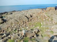 An den Basaltsäulen der Giganten