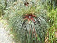 Natur pur in Glenveagh