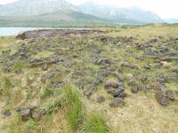 Torf wird getrocknet