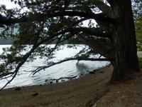 Mystisch-herrlich in Kylemore