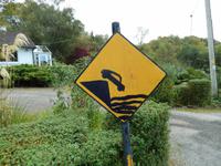 Gutes Straßenschild in Sneem!