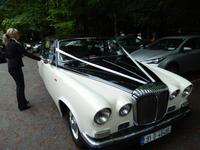 Hochzeitsauto in der Nähe des Wasserfalls von Killarney