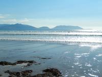 Wellensurfparadies Inch