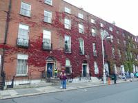 Doors of Dublin... und schönes Weinlaub an den Häusern