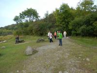 Wanderung durch Lady Gregorys Coole Park