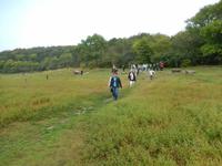 Haben wir uns im Coole Park verirrt?