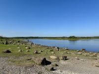 9. Tag – Wandern in Coole Park – Turlough