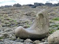 Giants Causeway - Schuh des Riesen
