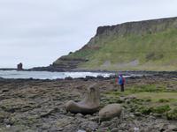 Giants Causeway