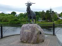 Ring of Kerry - King Puck