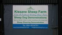 Die von uns besuchte Schaffarm am Ring of Kerry