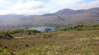 Hohe Berge am Ring of Kerry
