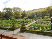 Der Garten im Nationalpark