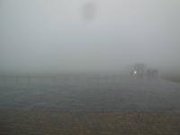 Oha, wo sollen denn hier Klippen sein? An den Cliffs of Moher