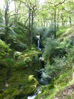 Glendalough - Poulanass Waterfall